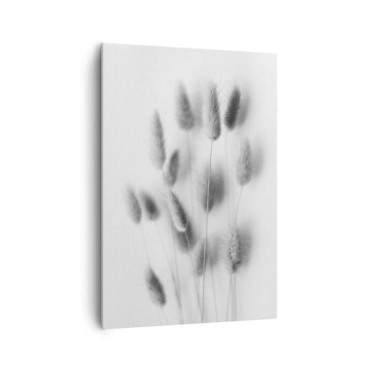 Canvastavla - Bild på duk - Fluffigt gräs - 70x100 cm