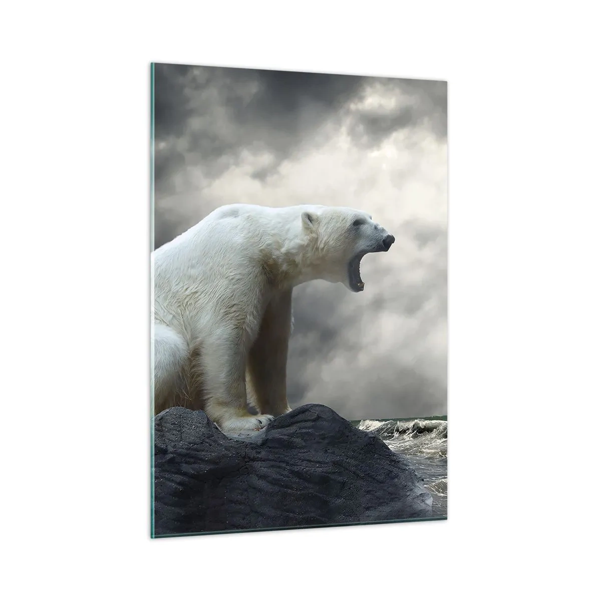 Glastavla - Bild på glas - Arktis ensamma kung - 50x70 cm
