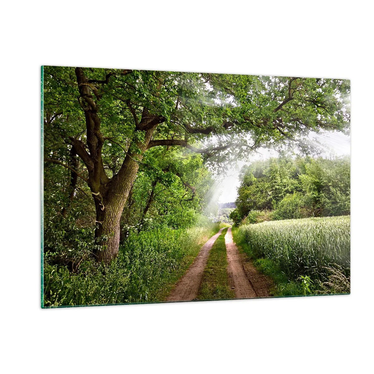 Glastavla - Bild på glas - Et in Arcadia ego - 120x80 cm