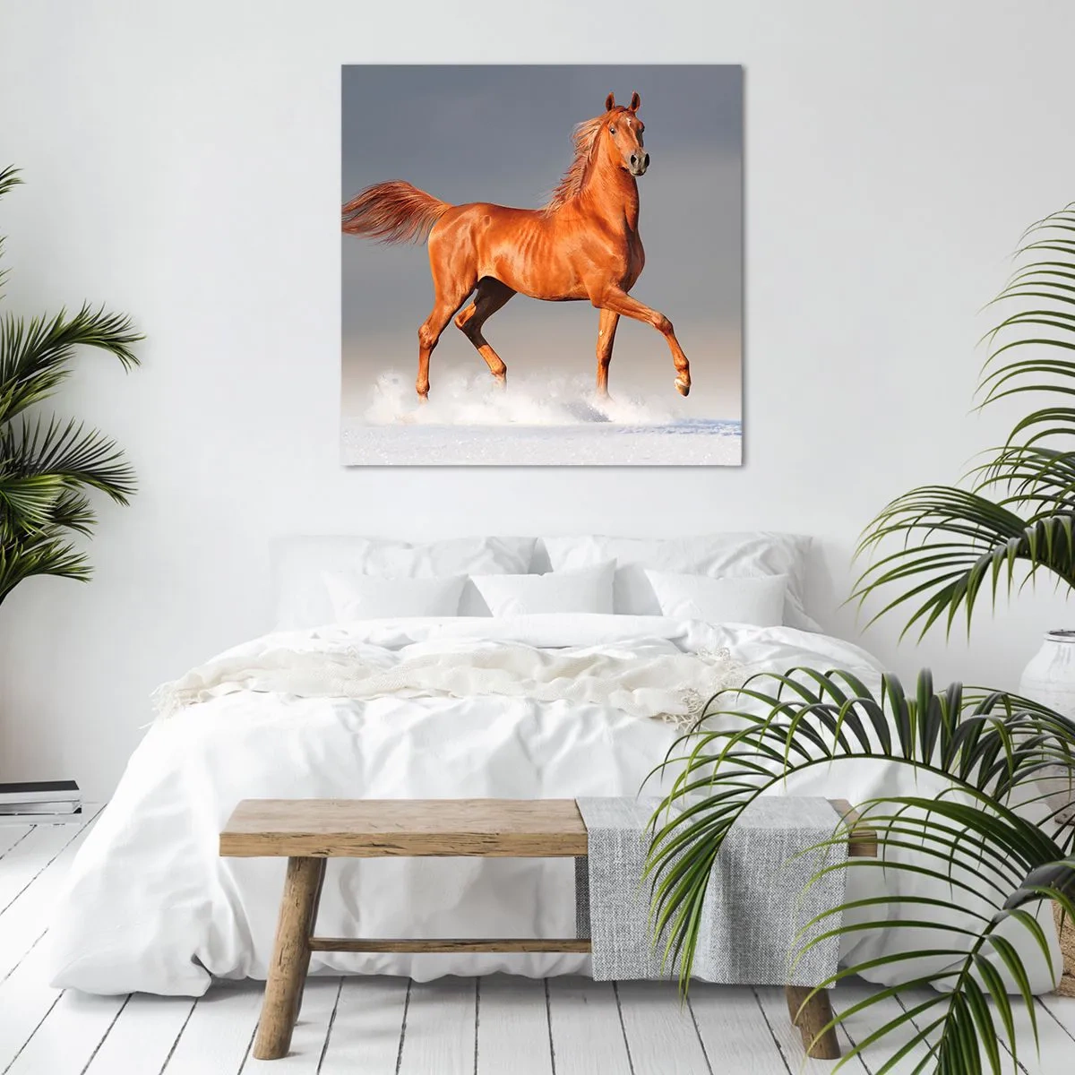 Canvastavla - Bild på duk - Dansande grace - 70x70 cm