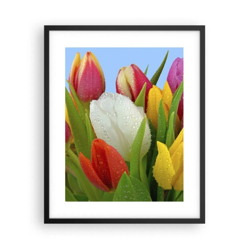 Affisch i svart ram - blommig regnbåge i daggdroppar - 40x50 cm