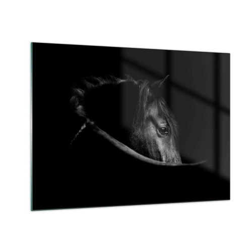 Glastavla - Bild på glas - Profil av en svart häst i skugga med ett synligt öga - 70x50cm - Svart prins - Modern väggdekoration för vardagsrum och sovrum ARTTOR