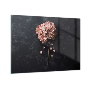 Glastavla - Bild på glas - Torr hortensia med spridda kronblad på en mörk bakgrund - 70x50cm - Ett verkligt romantiskt tecken - Modern väggdekoration för vardagsrum och sovrum ARTTOR