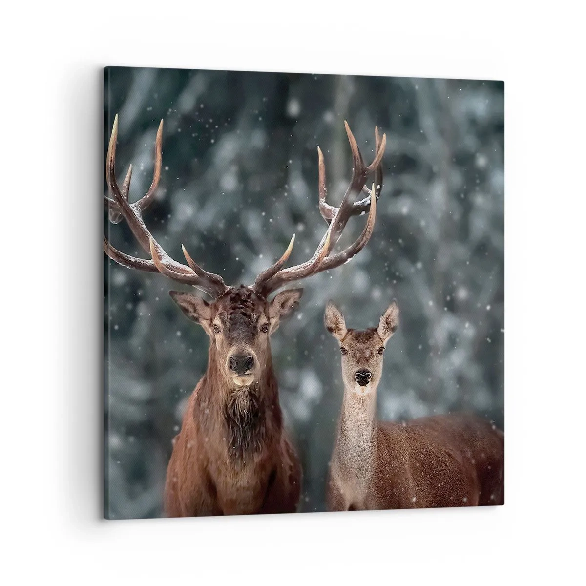 Canvastavla - Bild på duk - Skogens herre med hustrun - 50x50 cm