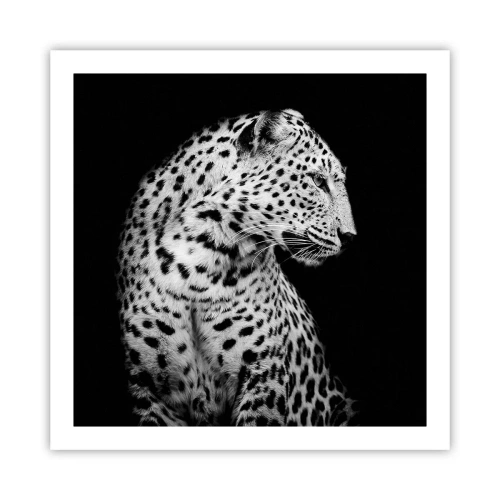 Affisch - Perfekt höger profil! - 60x60 cm