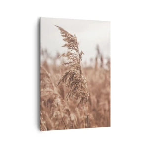 Canvastavla - Bild på duk - Hösten är framme på åkrarna - 70x100 cm