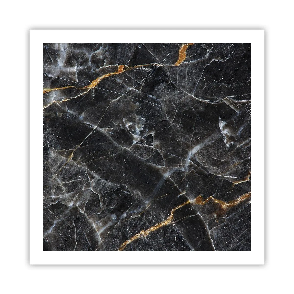 Affisch - Stenens interna liv - 60x60 cm