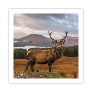 Affisch - Naturens majestät - 60x60 cm