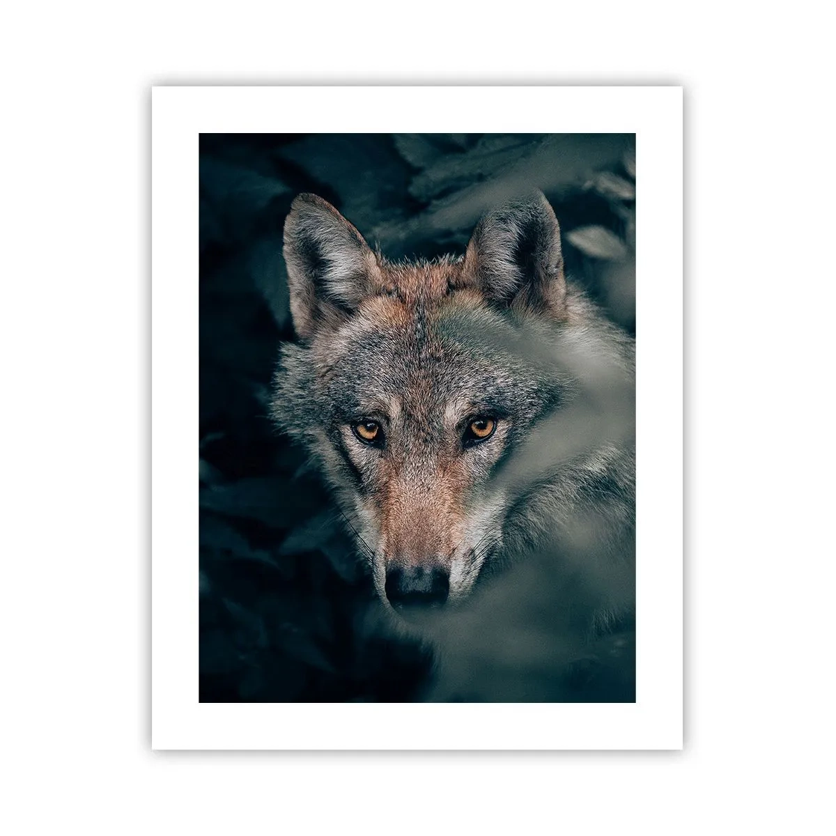 Affisch - Jägare - 40x50 cm