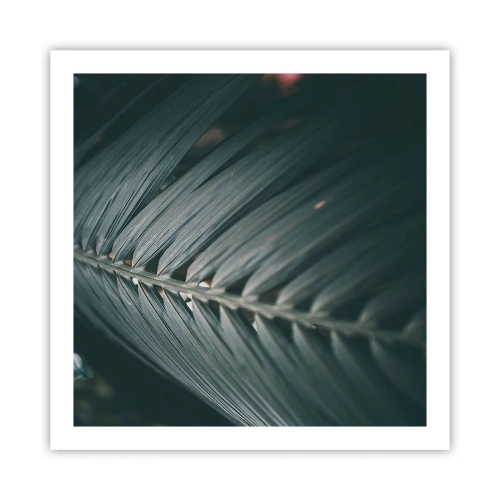 Affisch - Naturens precision - 60x60 cm