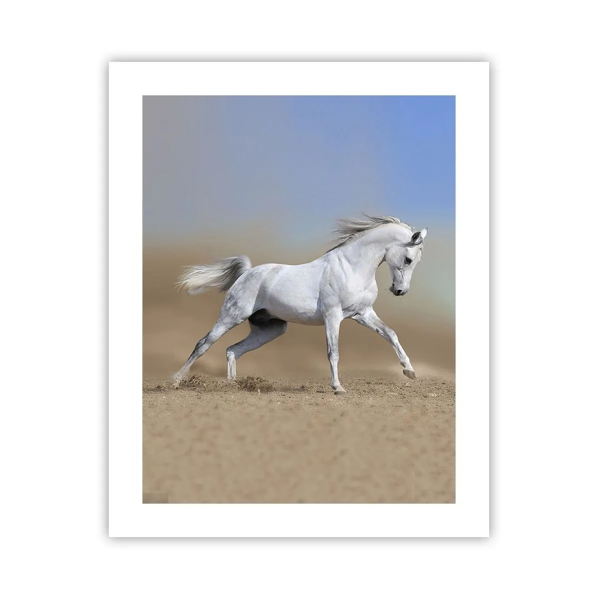 Affisch - Den vackraste arabiska sagan - 40x50 cm
