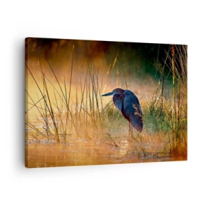 Canvastavla - Bild på duk - En häger i våtmarkerna vid solnedgången bland höga gräs - 70x50cm - Sluta fota - Modern väggdekoration för vardagsrum och sovrum ARTTOR