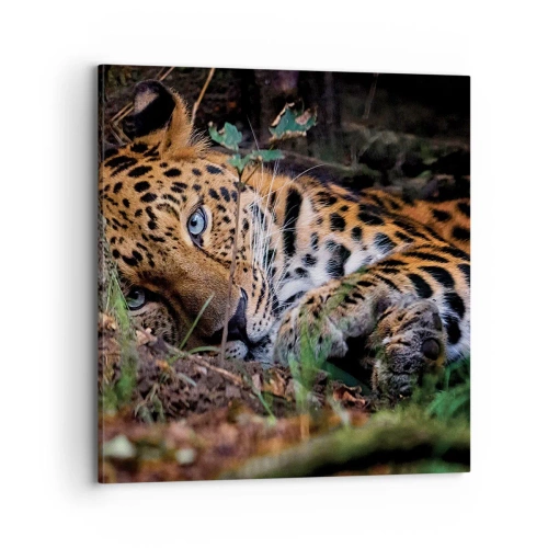 Canvastavla - Bild på duk - Tro mig - 70x70 cm