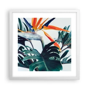 Affisch i vit ram - Fågelbuske - 40x40 cm