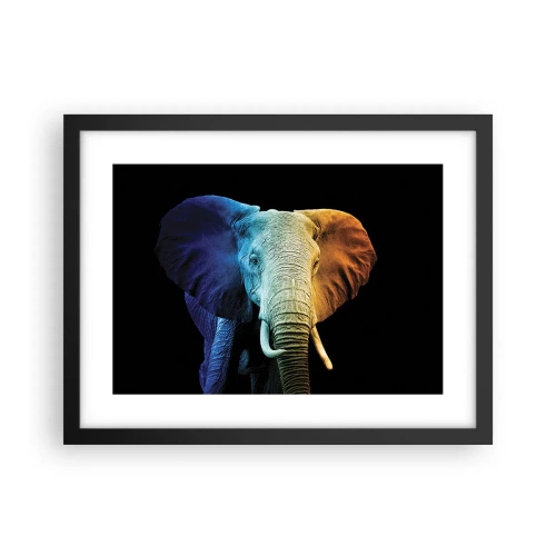 Affisch i svart ram - Excentriker, ej kuf - 40x30 cm