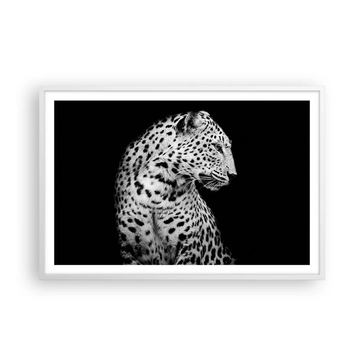 Affisch i vit ram - Perfekt höger profil! - 91x61 cm