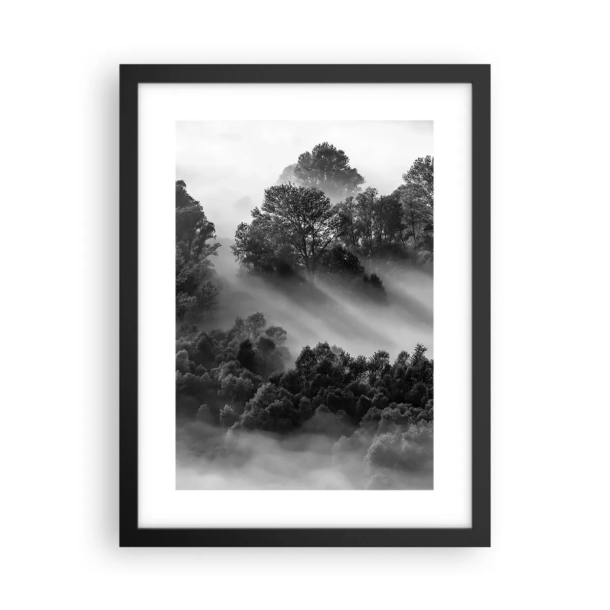 Affisch i svart ram - Stiger ur sömnen - 30x40 cm