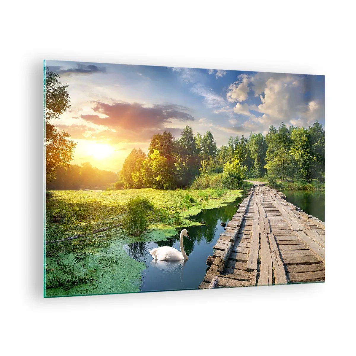 Glastavla - Bild på glas - Träbrygga över en sjö med en svan vid solnedgången - 70x50cm - Sommar, sommar överallt - Modern väggdekoration för vardagsrum och sovrum ARTTOR
