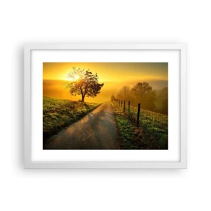 Affisch i vit ram - Honungfärgad eftermiddag - 40x30 cm