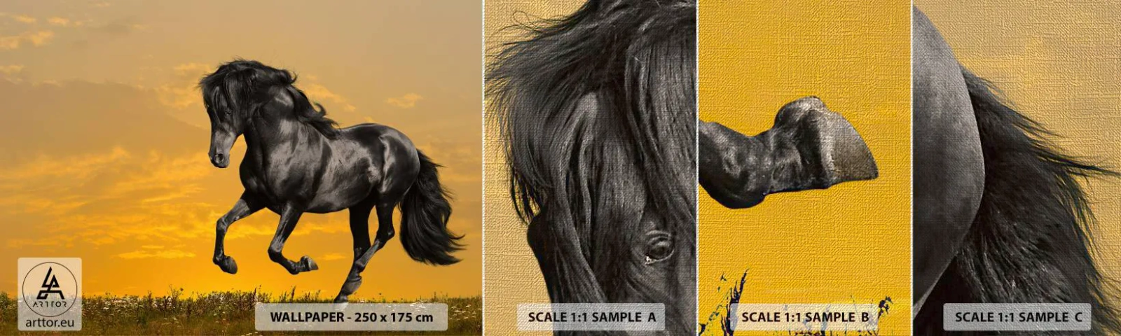 Provbit av fototapet Premium Canvas - Vacker, fri och vild - Djur, Häst, Landskap - 100x30 cm