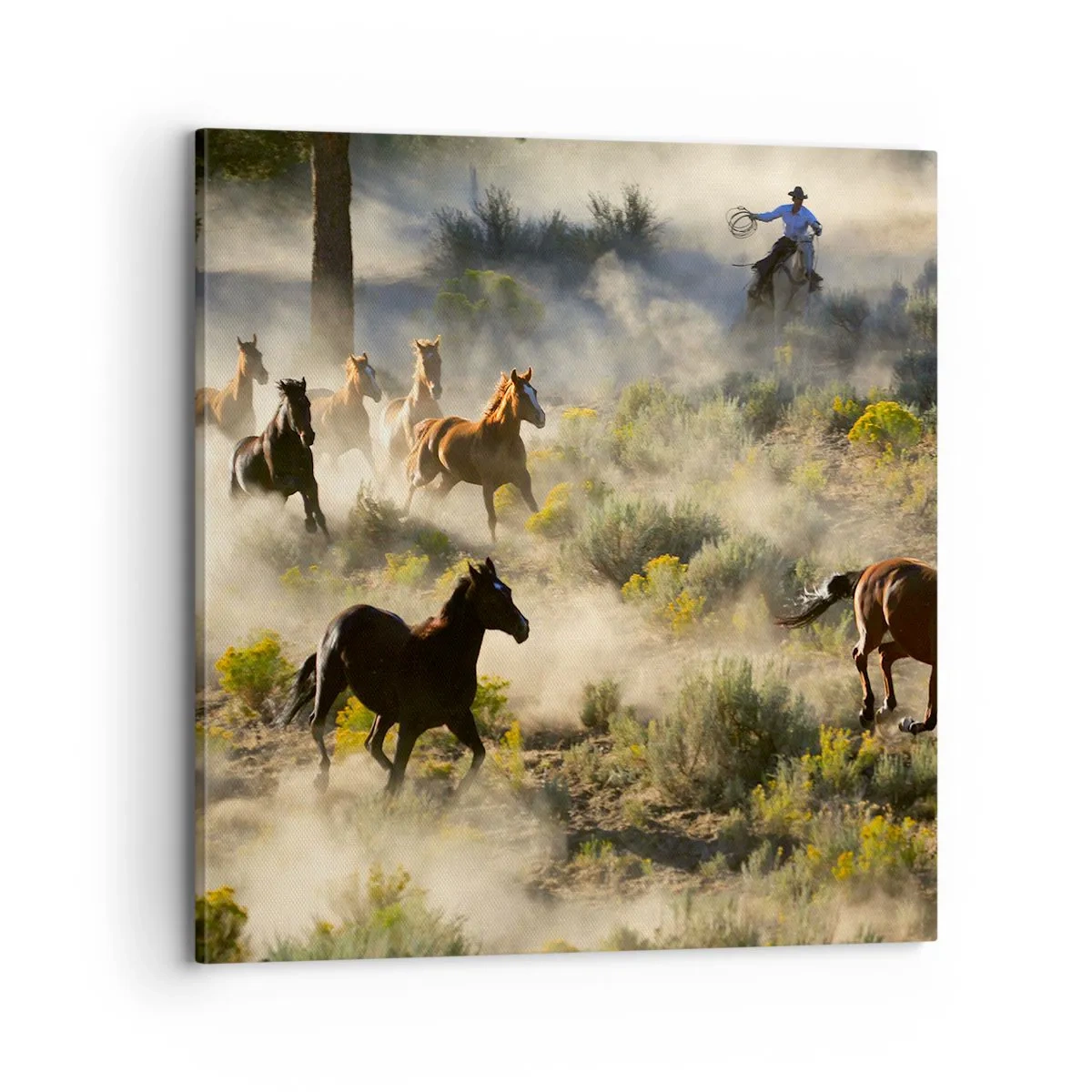 Canvastavla - Bild på duk - Tävlande - frihet eller manlig styrka? - 70x70 cm