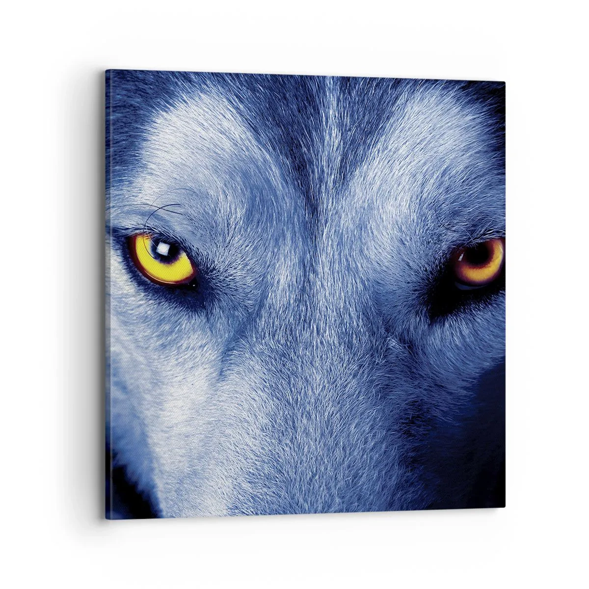 Canvastavla - Bild på duk - Hypnotiserade titt - 70x70 cm