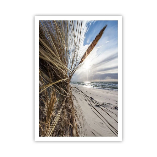 Affisch - Elementens möte - 70x100 cm