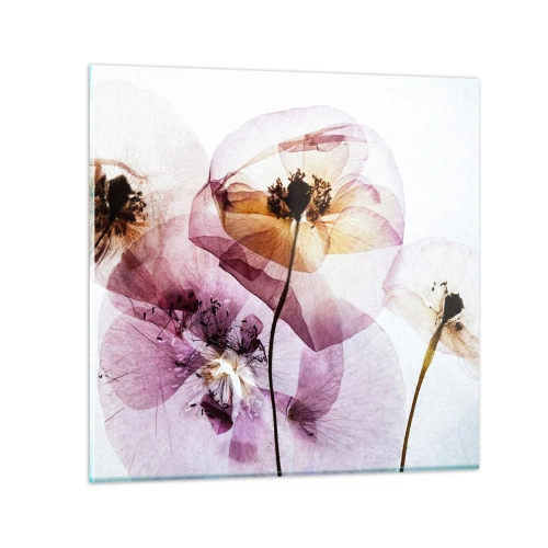Glastavla - Bild på glas - Blommornas transparenta kroppar - 70x70 cm