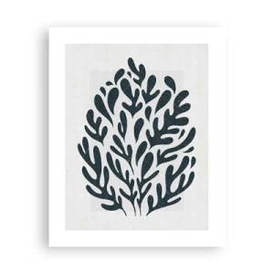 Affisch - Naturens former - 40x50 cm