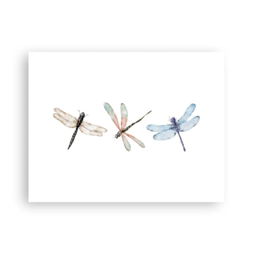 Affisch - Viktlösa trollsländor - 40x30 cm