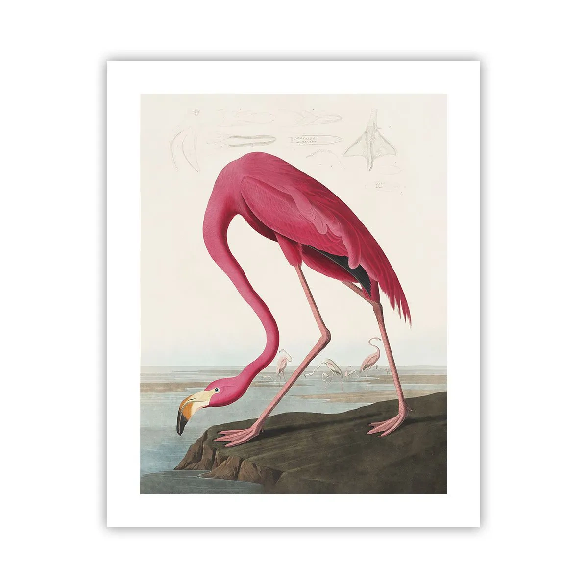 Affisch - Underlig varelse - 40x50 cm