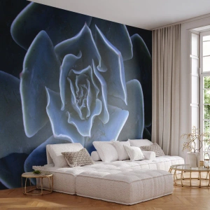 Självhäftande Fototapet Deluxe Sticker - Öknens blomma - Agave blomma, Blomma, Natur - 100x70 cm