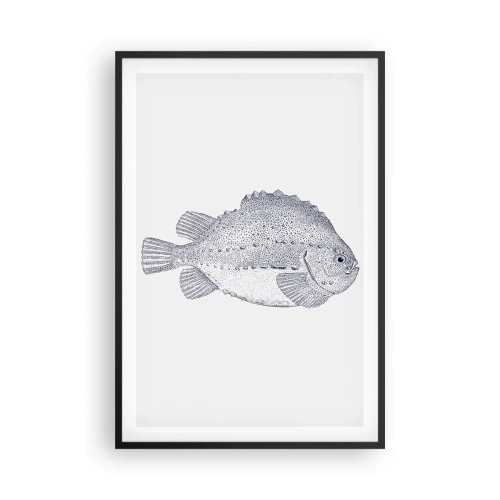 Affisch i svart ram - Till naturforskarens album - 61x91 cm