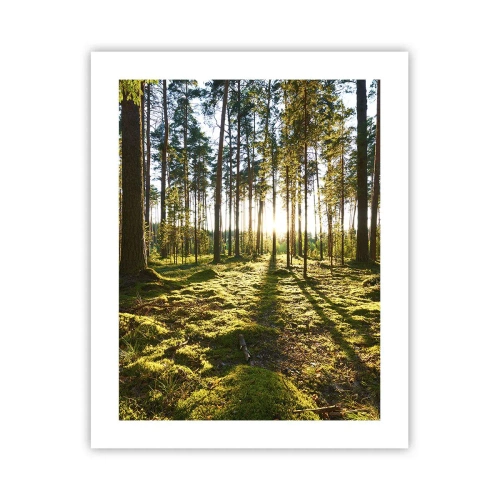 Affisch - ...Bortom sjunde skogen - 40x50 cm