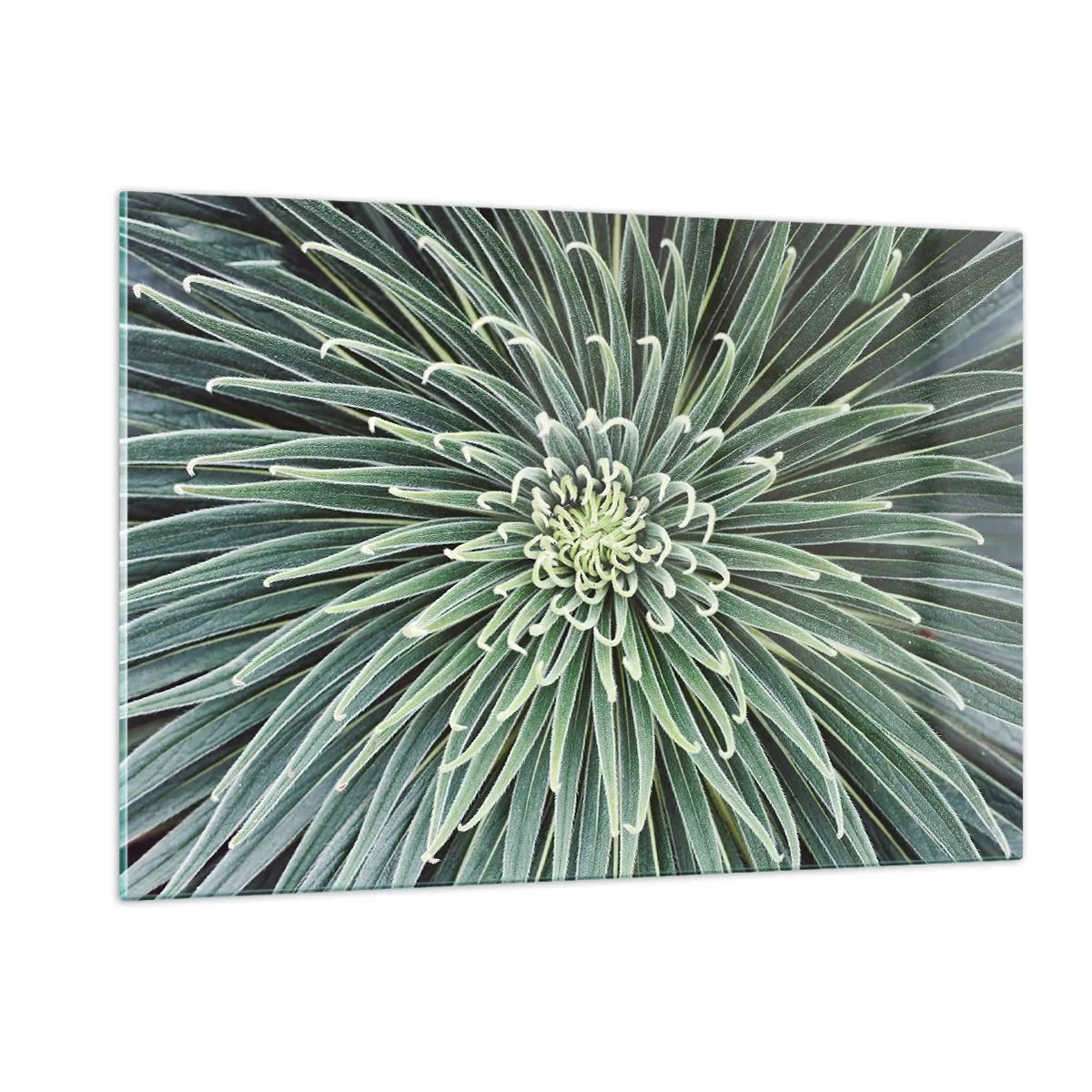 Glastavla - Bild på glas - Stjärna föds - 120x80 cm