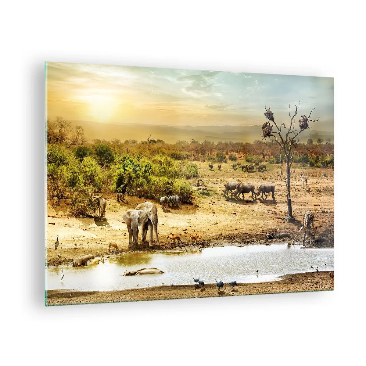 Glastavla - Bild på glas - Elefanter och djur vid ett vattenhål mot bakgrund av ett afrikanskt landskap - 70x50cm - "Det mynnade en flod från Eden…" - Modern väggdekoration för vardagsrum och sovrum ARTTOR
