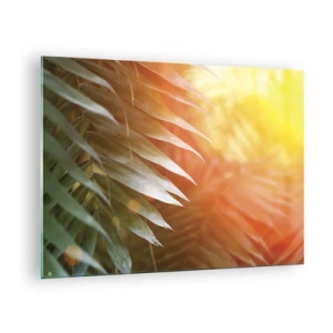 Glastavla - Bild på glas - Palmblad i morgonsolens sken i en tropisk miljö - 70x50cm - En morgon i djungeln - Modern väggdekoration för vardagsrum och sovrum ARTTOR