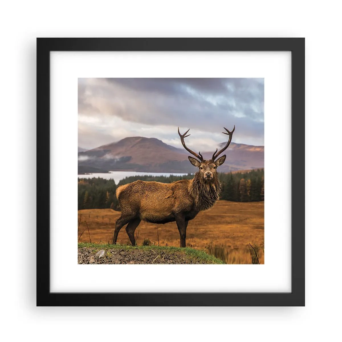 Affisch i svart ram - Naturens majestät - 30x30 cm