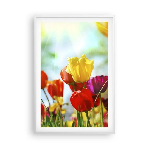 Affisch i vit ram - Solens alla färger - 61x91 cm