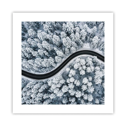 Affisch - Genom vinterskogen - 40x40 cm