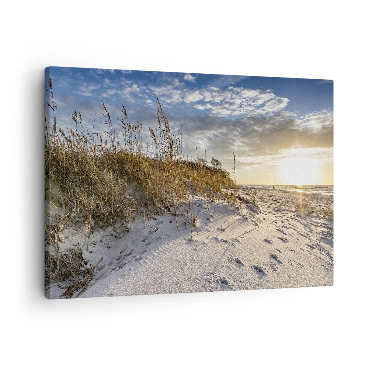 Canvastavla - Bild på duk - Sanddyner med gräs och fotspår i sanden vid solnedgången - 70x50cm - Inbjudan till promenad - Modern väggdekoration för vardagsrum och sovrum ARTTOR