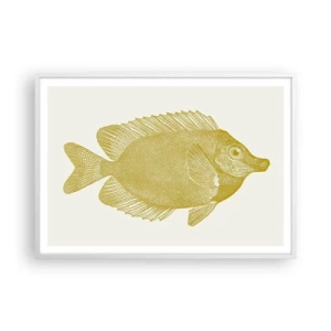 Affisch i vit ram - Fisk och det är allt - 100x70 cm