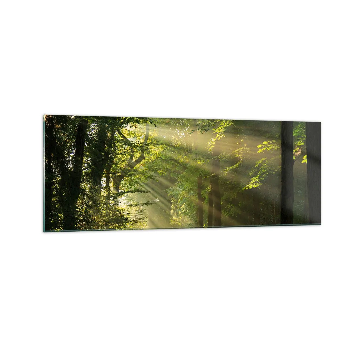 Glastavla - Bild på glas - En stund i skogen - 140x50 cm