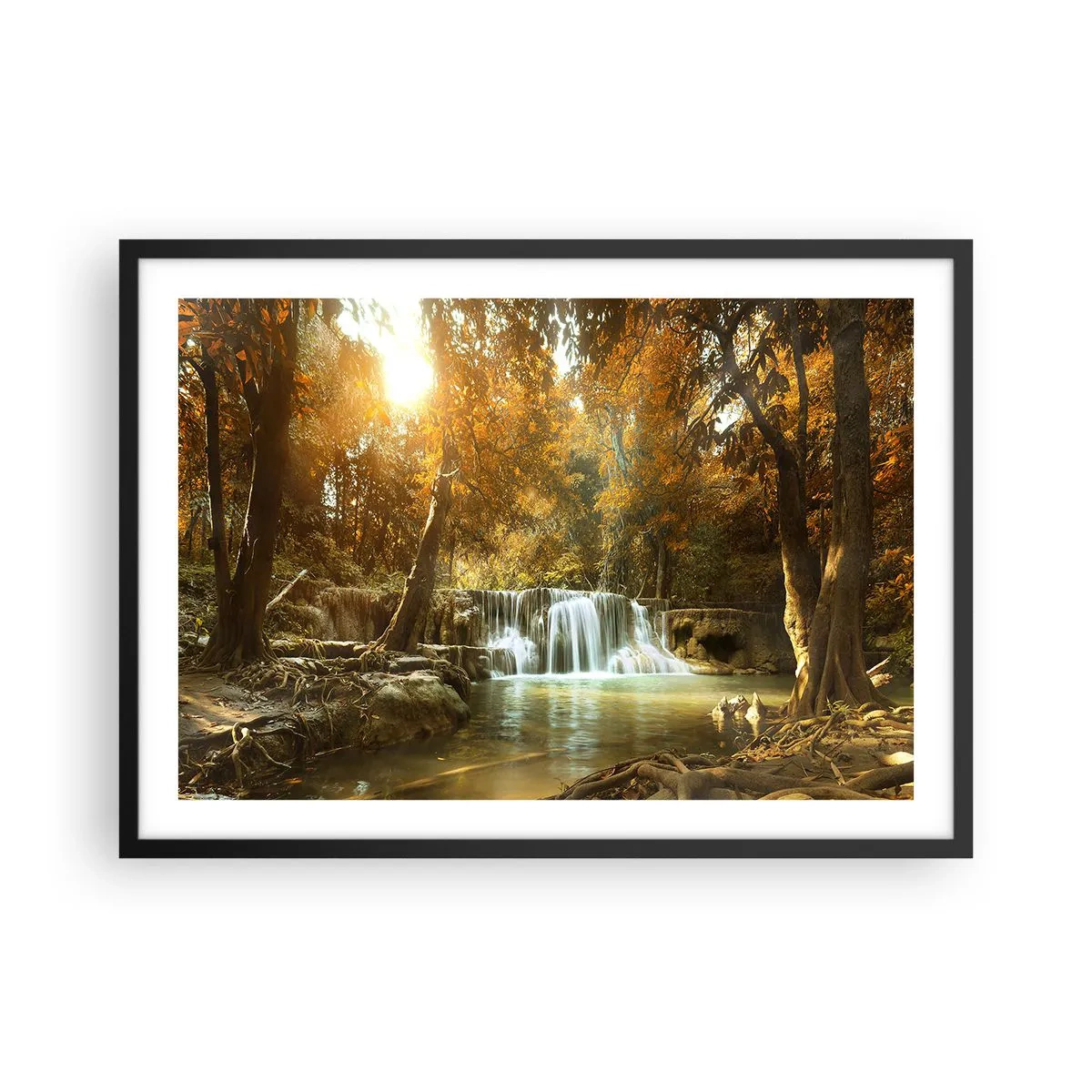 Affisch i svart ram - Parkkaskad - 70x50 cm