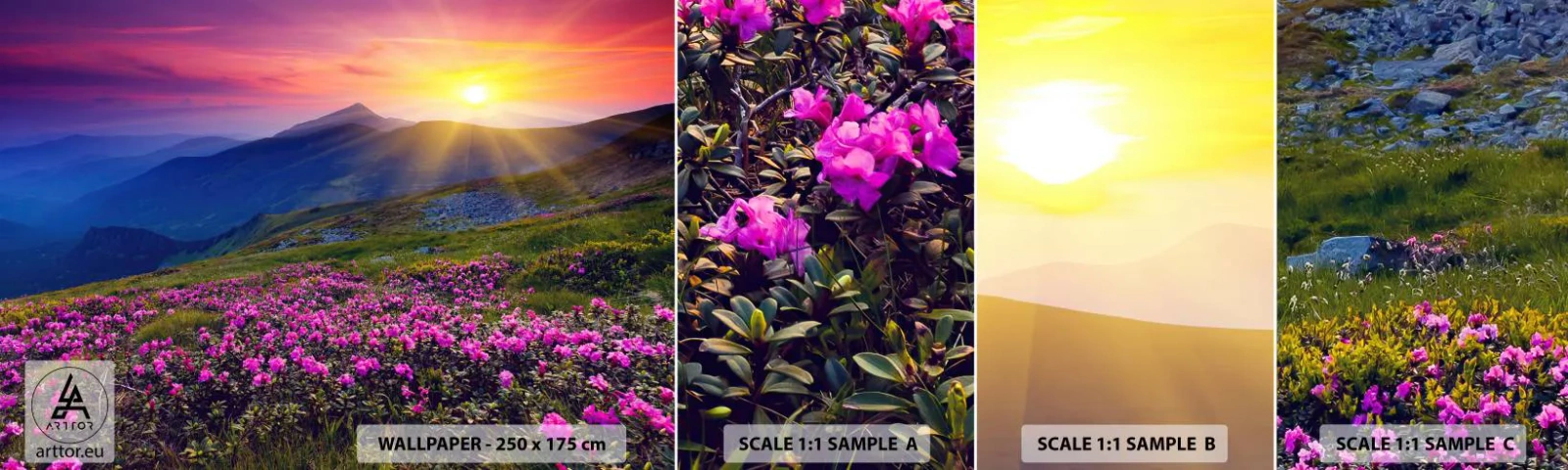 Fototapet Prov Standard Eco - … Bergtallen doftar och örterna luktar runt omkring - Landskap, Berg, Solnedgång - 100x30 cm