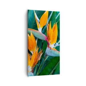 Canvastavla - Bild på duk - Är det en blomma, eller en fågel? - 65x120 cm