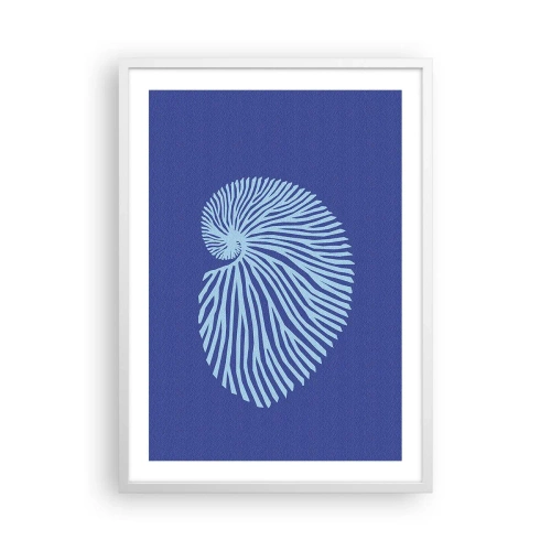 Affisch i vit ram - Födelse av ett skal - 50x70 cm