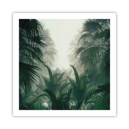 Affisch - Tropisk hemlighet - 60x60 cm