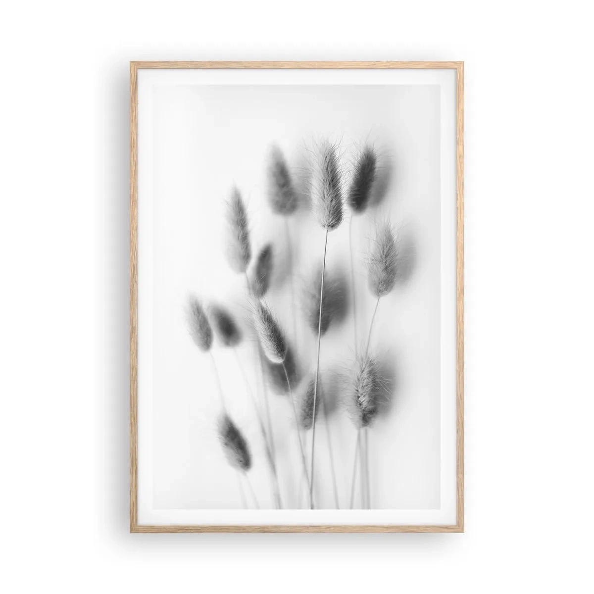 Affisch i ram av ljusek - Fluffigt gräs - 70x100 cm