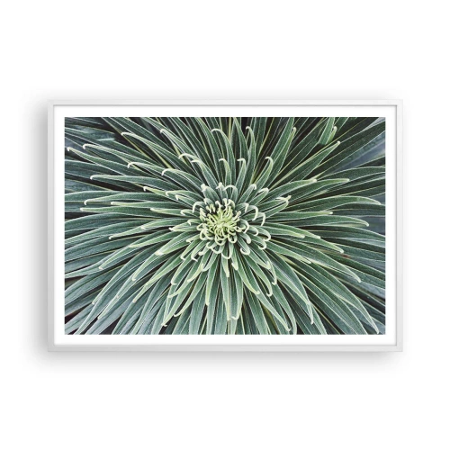 Affisch i vit ram - Stjärna föds - 100x70 cm